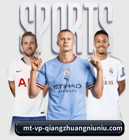 五个功能入口,赛程查询路径更短