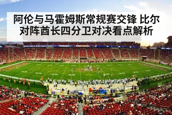 american football stadium crowd