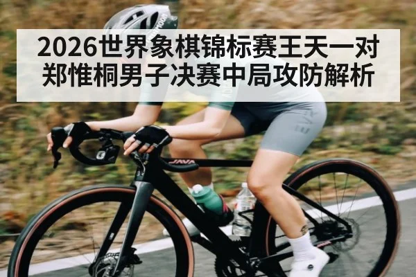 2026世界象棋锦标赛王天一对郑惟桐男子决赛中局攻防解析